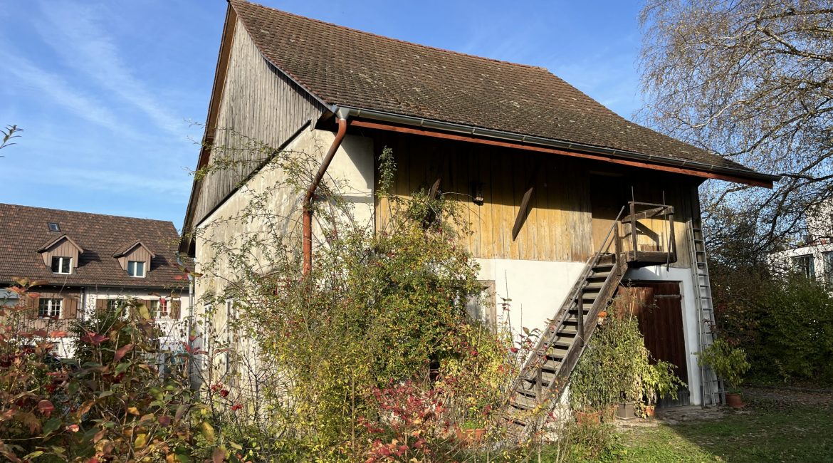 Titelbild Schür Volketswil