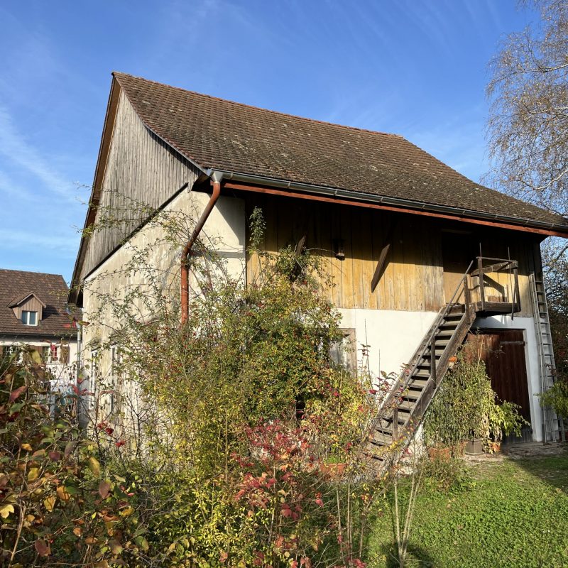 Titelbild Schür Volketswil